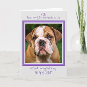 Cartão Cachorro Mãe Feliz Aniversário Feliz Cachorro Ca