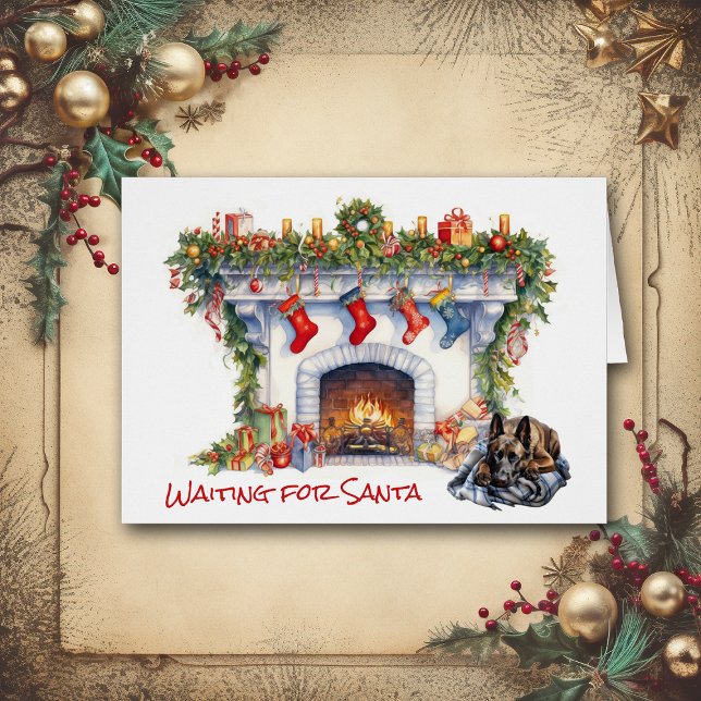 Cartão Cachorro Malinois belga esperando por Papais noeis (Criador carregado)