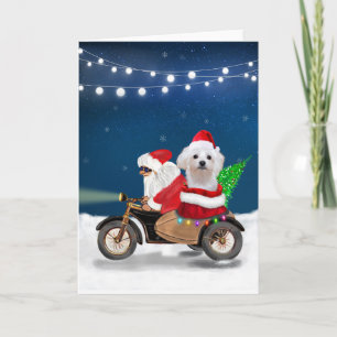 Cartão Cachorro Maltês Natal Papai Noel