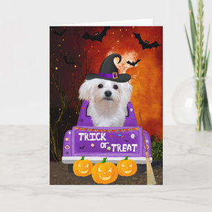 Cartão Cachorro Maltês no Caminhão de Halloween