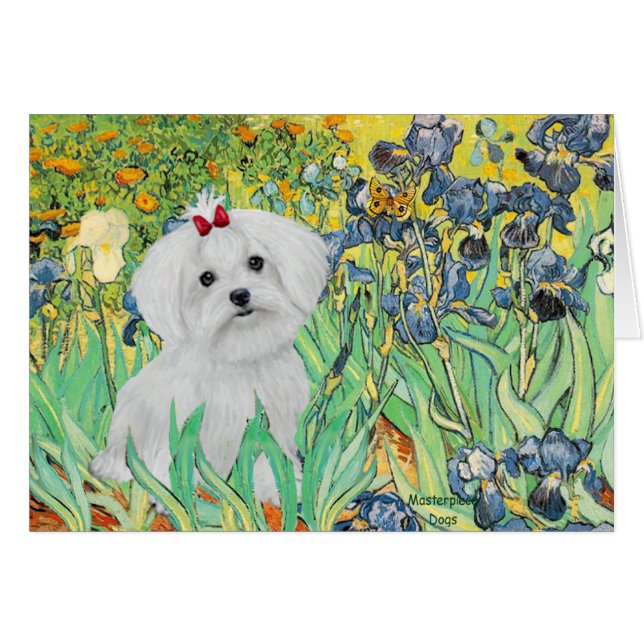 Cartão Cachorro MALTESE - Íris (Frente Horizontal)