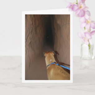 Cartão Cachorro na Caverna
