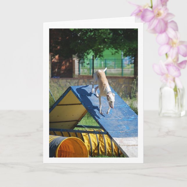 Cartão Cachorro na Escola de Treinamento (Orquídea)