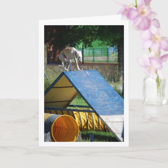 Cartão Cachorro na Escola de Treinamento (Orquídea)