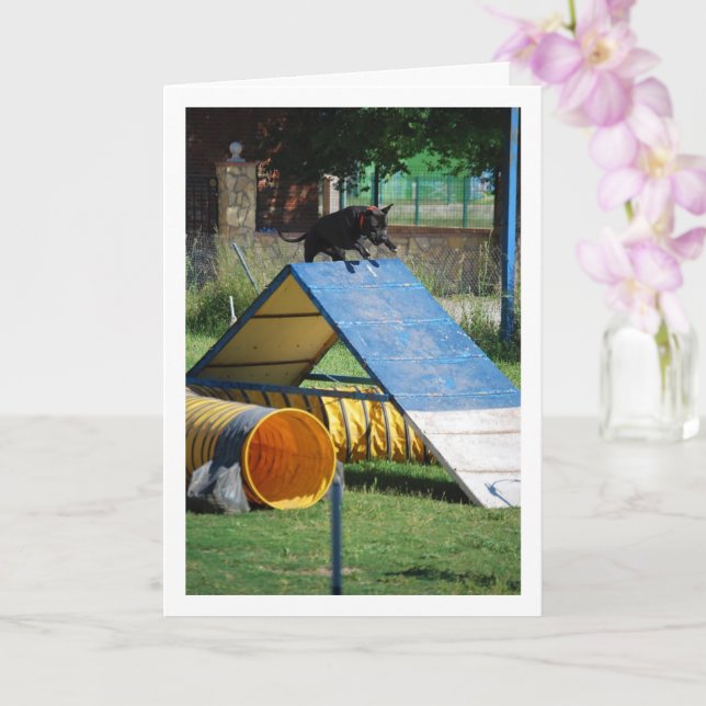 Cartão Cachorro na Escola de Treinamento (Orquídea)