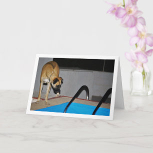 Cartão Cachorro na Piscina