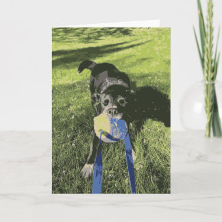 Cartão Cachorro Negro Brincando De Rouco De Guerra