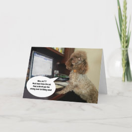 Cartão Cachorro no Computador, Culpa Gato Feliz Aniversár