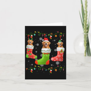 Cartão Cachorro ouro Cachorro Cachorro Meias De Natal Luz