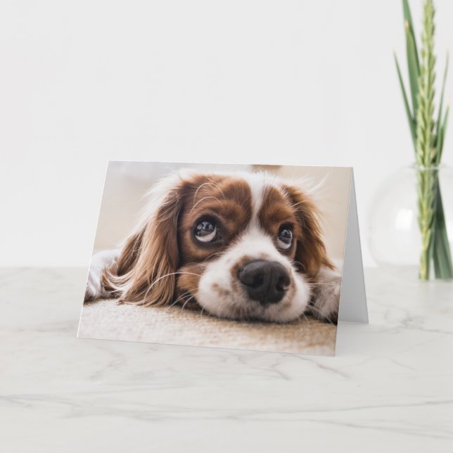 Cartão Cachorro Panelado De Olhos Tristes (Frente)