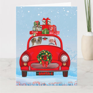 Cartão Cachorro Papillon em carro com Papai Noel