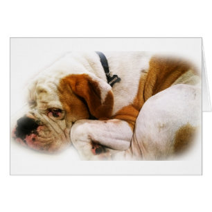 Cartão Cachorro para Baixo