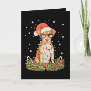 Cartão Cachorro Pinscher de Natal Chapéu do Papai Noel Fe