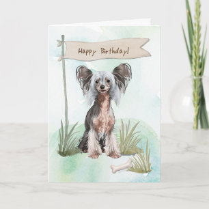 Cartão Cachorro Pinto Chinês Sob Sinal De Aniversário
