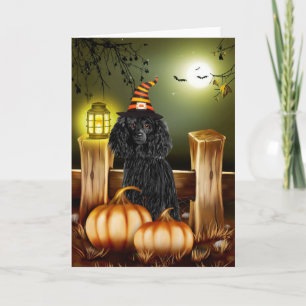 Cartão Cachorro Poodle com Chapéu de Bruxa no Halloween