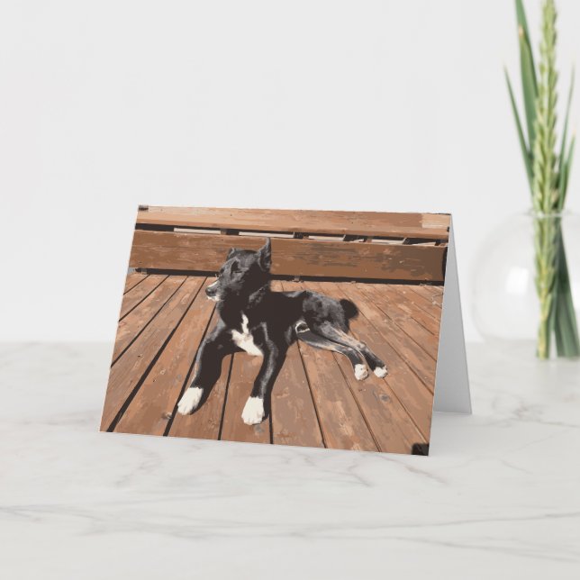 Cartão Cachorro Preto Deitado Em Um Dormido Com Sono (Frente)