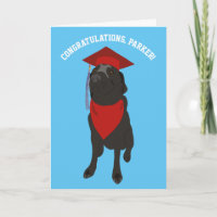 Cachorro Preto em um Boné de formatura Vermelho Pe