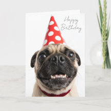 Cachorro Pug Fofo de Aniversário com Chapéu Vermel