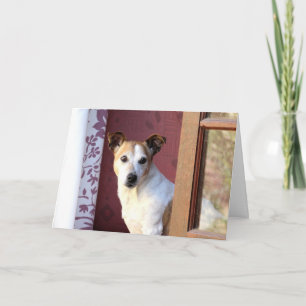 Cartão Cachorro Que Falta