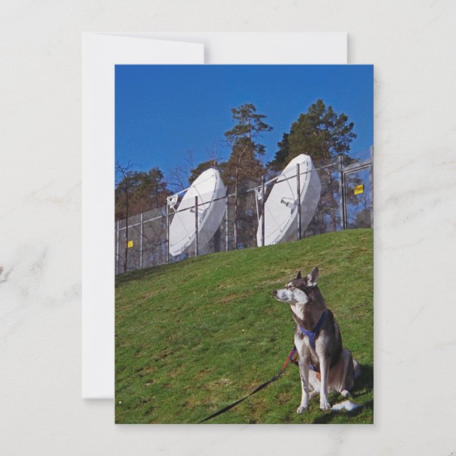 Cartão Cachorro rastreador (Frente)