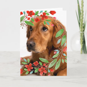 Cartão Cachorro Retriever Dourado com Flores Vermelhas em