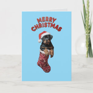 Cartão Cachorro Rottweiler Fofo Natal