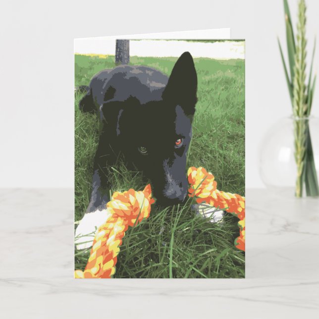 Cartão Cachorro Rouco Bonito Com Toy Black (Frente)