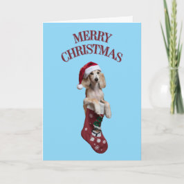 Cartão Cachorro Saluki Fofo Natal