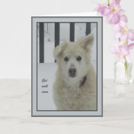 Cartão *Cachorro Sandy - Vá Bem Em Breve