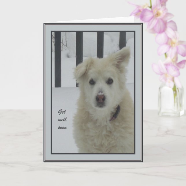 Cartão *Cachorro Sandy - Vá Bem Em Breve (Orquídea)