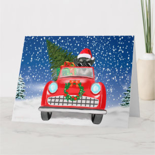 Cartão Cachorro Schnauzer Dirigindo Carro Na Neve Natal