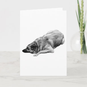 Cartão Cachorro Sombreado Suave Envia Saudações Quentes d