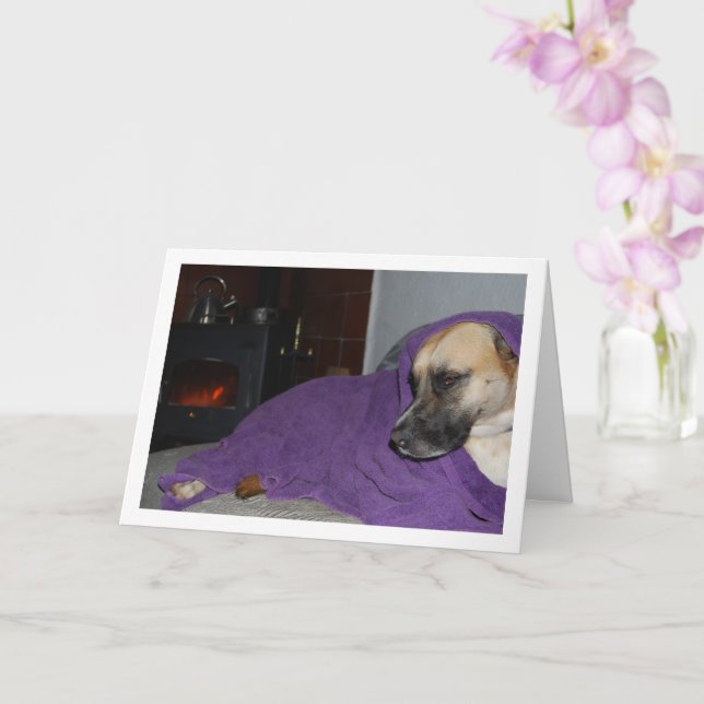 Cartão Cachorro Sonolento junto à Lareira (Orquídea)