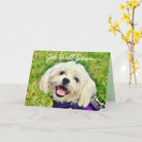 Cachorro Verde Fresco e Encorajamento Consigam Bem