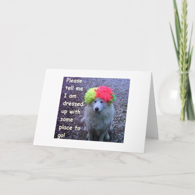 CARTÃO CACHORRO VESTIDO PARA COMEMORAR O SEU "30" DIA-B (Frente)