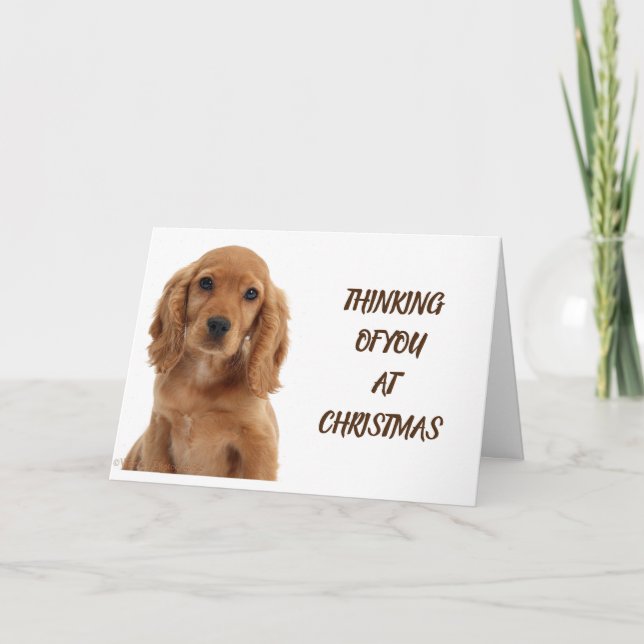 CARTÃO CACHORRO, VETERINÁRIO E CAMARÃO DE CACHORRO (Frente)