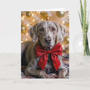 Cartão Cachorro Weimaraner de Natal Com Laço Vermelho