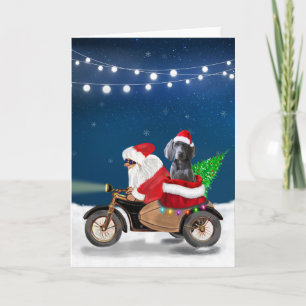 Cartão Cachorro Weimaraner Natal Papai Noel