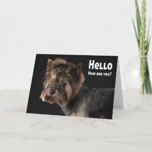 Cartão Cachorro Yorkie Fofo Amor Cachorrinho Yorkshire Te
