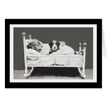 Cachorros adormecidos por Harrier Whittier Frees