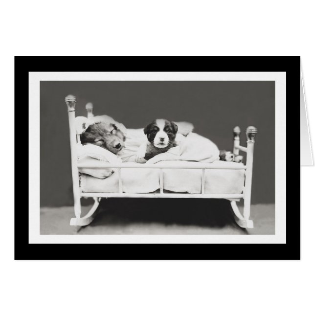 Cartão Cachorros adormecidos por Harrier Whittier Frees (Frente Horizontal)