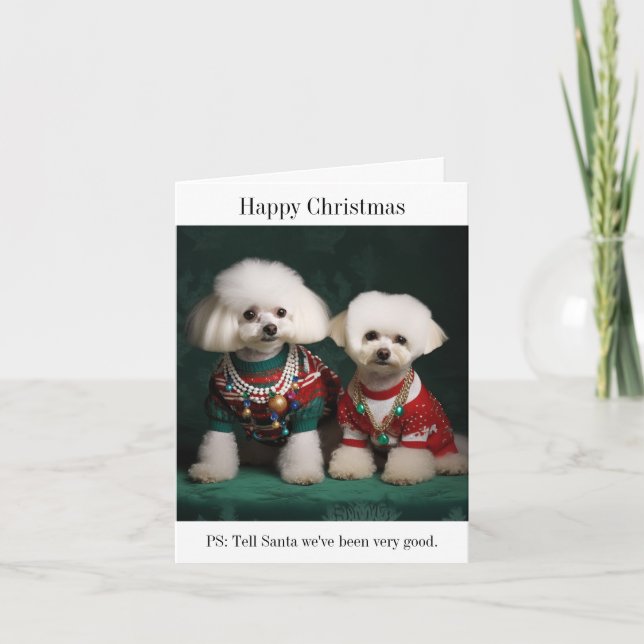 Cartão Cachorros Bichon Frise em Suéteres de Natal (Frente)