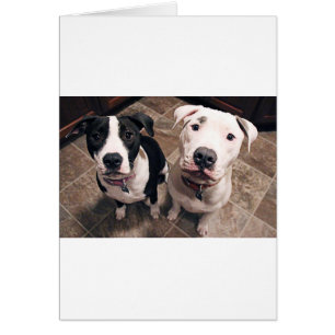 Cartão cachorros-do-mato adoráveis