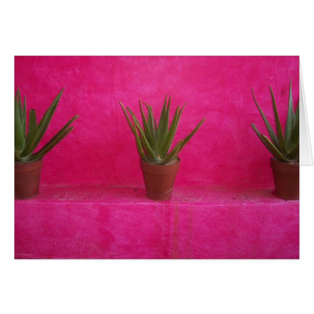 Cartão cacto (Frente Horizontal)