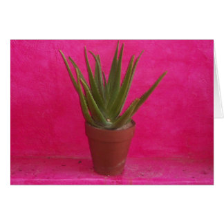 Cartão Cacto