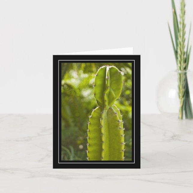 Cartão Cactus Blank Note Card (Frente)