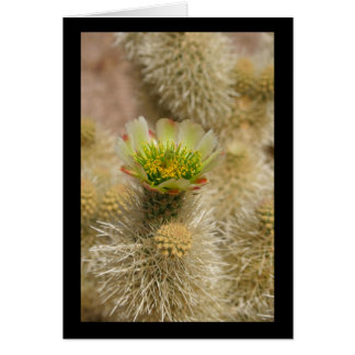 Cartão Cactus Bloom