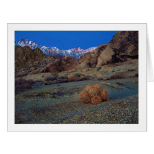 Cartão "Cactus Com Vista"