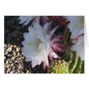 Cartão Cactus Flower