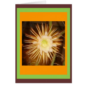 Cartão Cactus Flower